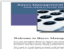 Tablet Screenshot of hayestax.com